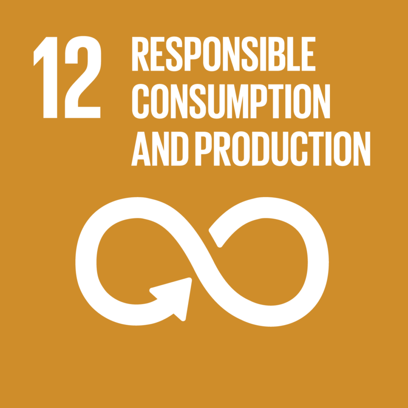 SDG Ziel 12: Verantwortungsvoller Konsum und verantwortungsvolle Produktion