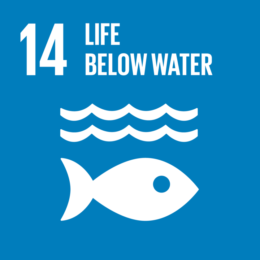 SDG Ziel 14: Leben unter Wasser