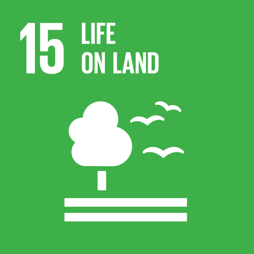 SDG Ziel 15: Leben an Land