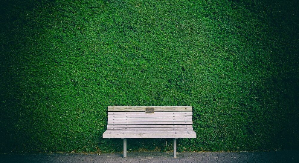 Sitzbank vor grüner Hecke