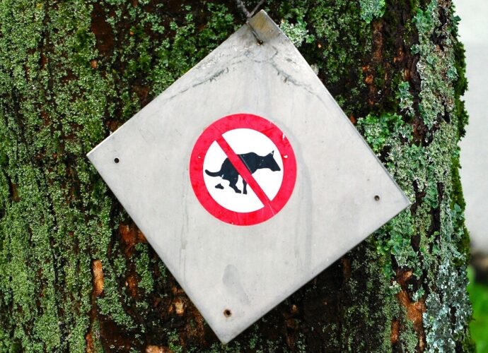 Schild: Hunde dürften hier nicht...